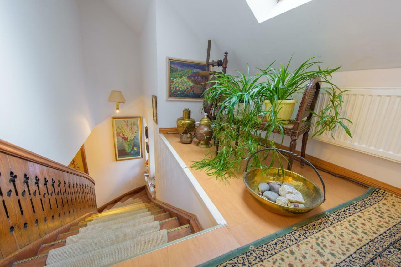 Villa Parkowa 5 Świeradów-Zdrój Extérieur photo